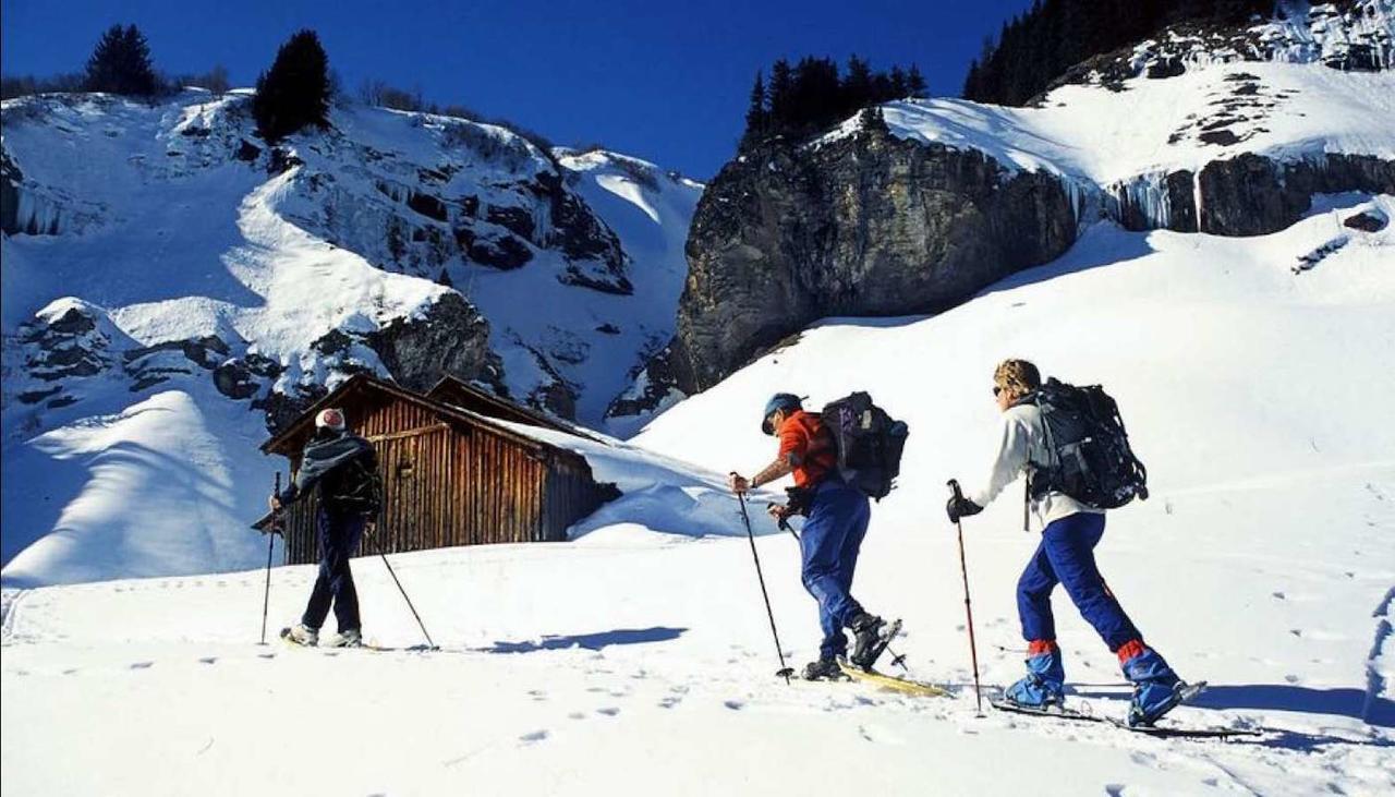 Les Aiguilles De Warens Villa Combloux Buitenkant foto